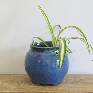 Varidian hanging flower pot