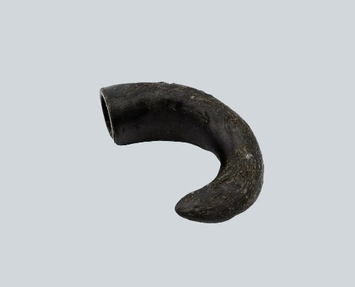 Thumbnail: Water Buffalo Horn small