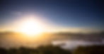 Wellington-landscape-1.jpg