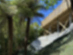 Home page hero image Oct 2024.JPG