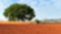 Imagem do WhatsApp de 2024-10-02 à(s) 08.10.58_f79c92ab.jpg