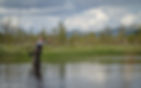 fishspot flyfishing2.jpg