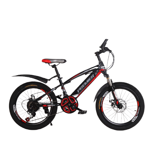 Bicicleta PREMIER aro 20