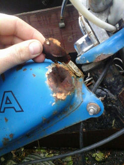 15356071_1233687883390450_1711121534_n