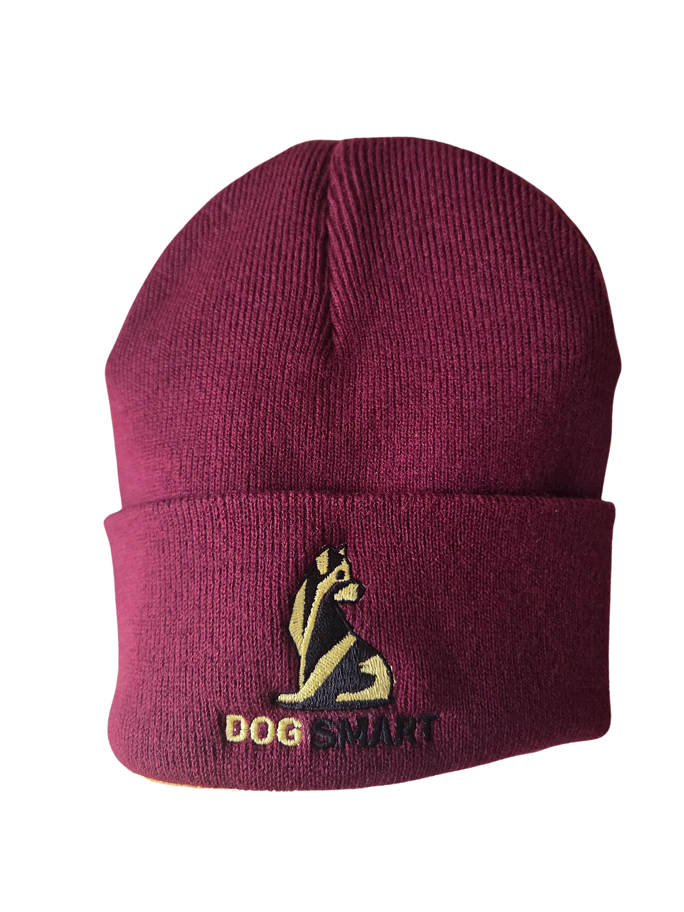 Thumbnail: Dog Smart Beanie 
