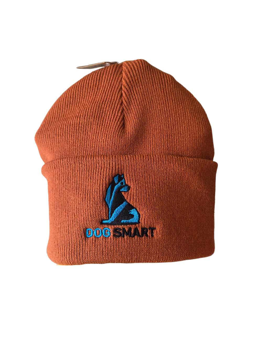 Thumbnail: Dog Smart Beanie 