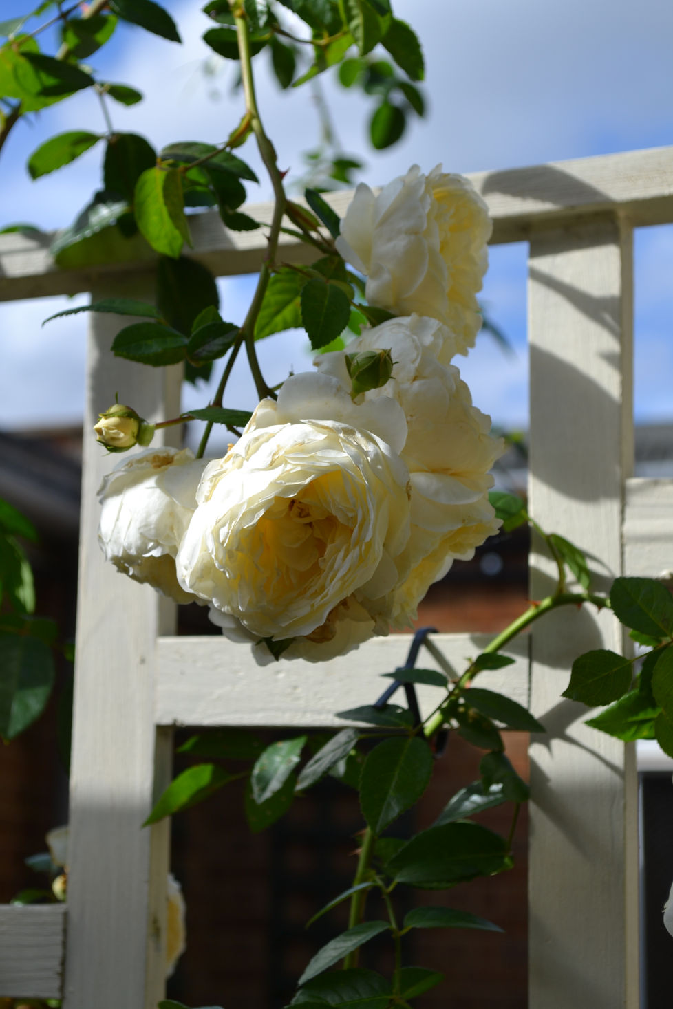 POETRY: TURNING BEAUTY