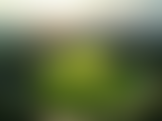 Optimizando el diseño de espacios verdes en Bogotá