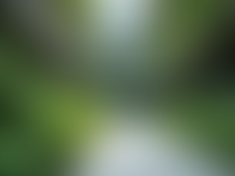 Innovaciones en paisajismo para empresas en Bogotá