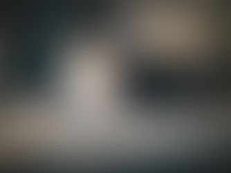 Lai pasargātu dzīvniekus no saslimšanas ar leptospirozi, jārūpējas par deratizāciju dzīvnieku novietnēs un suņu vakcināciju