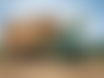 Piešķir 34 miljonus eiro atbalstu lauksaimniecības attīstībai 2024. gadā