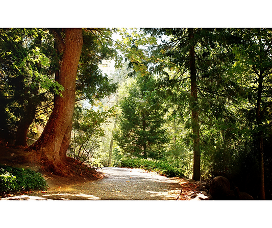 Untitled design.png