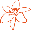 flor.png