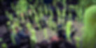712762F5-1E4C-4A7F-9B55-048812CCD809.JPEG