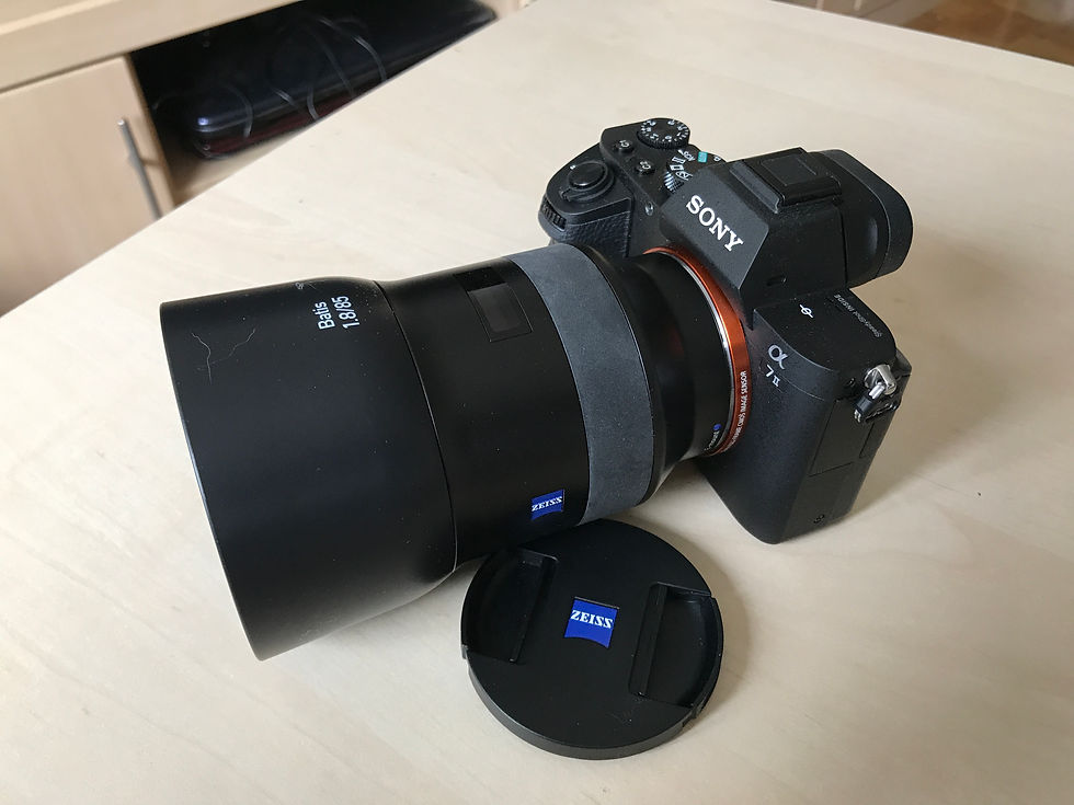 The Zeiss Batis 85mm f/1.8 is an amazing lens - The rendering was exceptional !