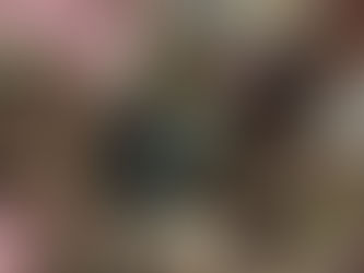 Animation 1 : Ephemeral Territories - Greenhead Park