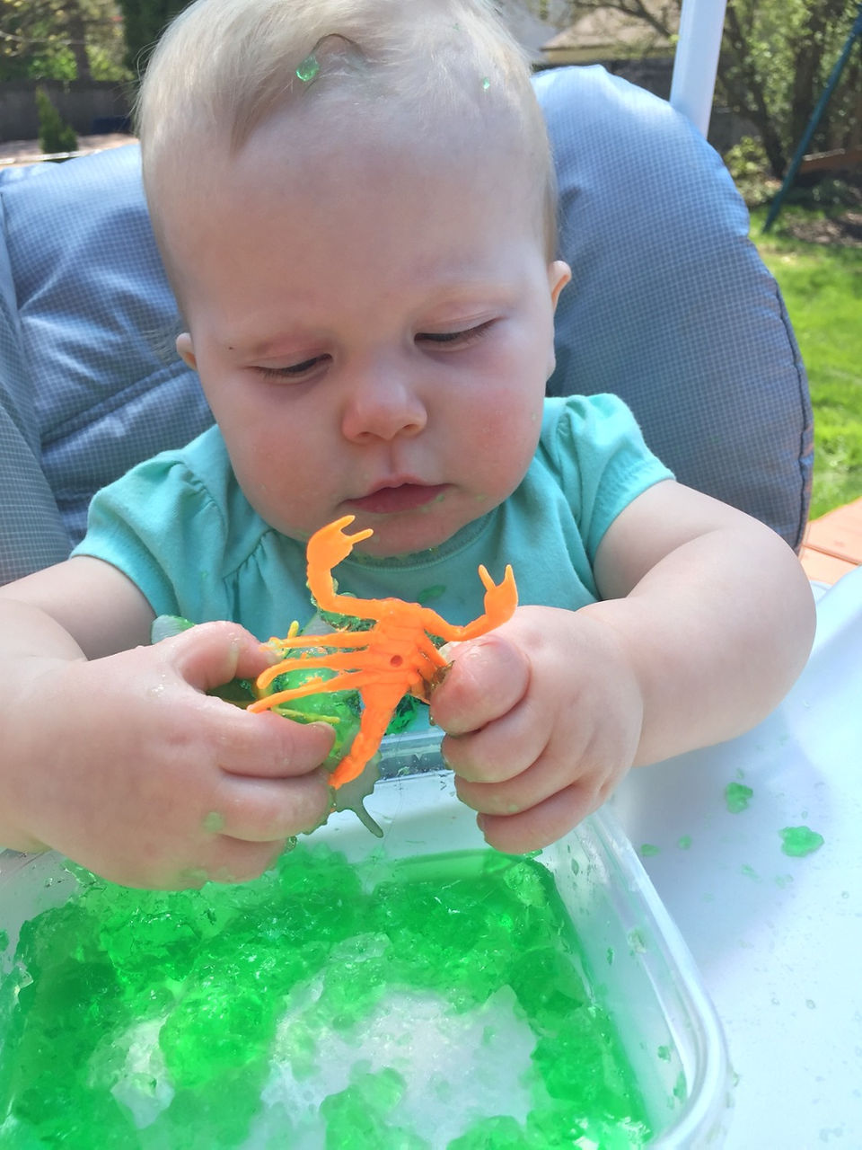 Bugs in Jello!