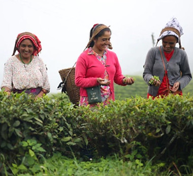 Okayti Tea.jpg