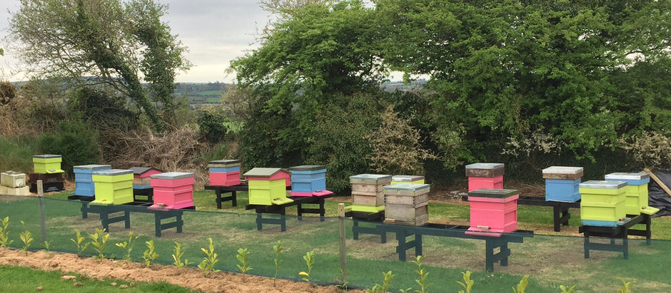 Beginners' Beekeeping Classes 2018