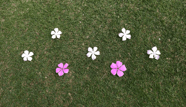 Flores.gif