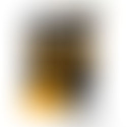 Cisne Negro – Julho de 2011