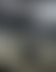 Pietr, O Letão – Maio de 2015