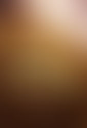 O Preço da Vitória – Março de 2013