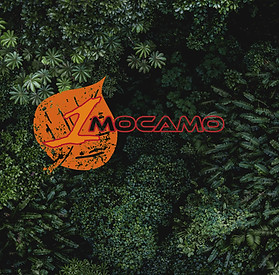 Untitled - 2025-04-29T072541_edited_edited.jpg