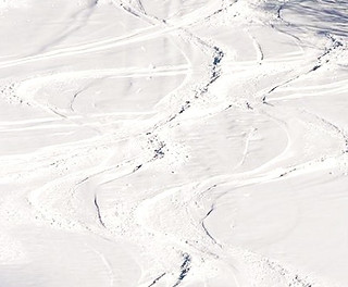 80692558_10156777602802314_6787167763661