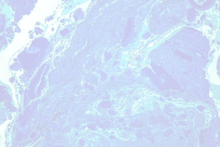 Abstract Paint  _edited.jpg