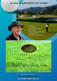 Splendido Infographics