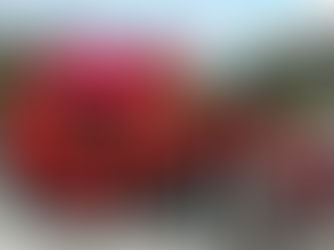 Pukkilan kunta panostaa vahvasti yhteisöllisyyteen ja sosiaaliseen hyvinvointiin