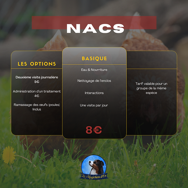 Black Yellow Modern Car Wash Price List Instagram Post (2).png