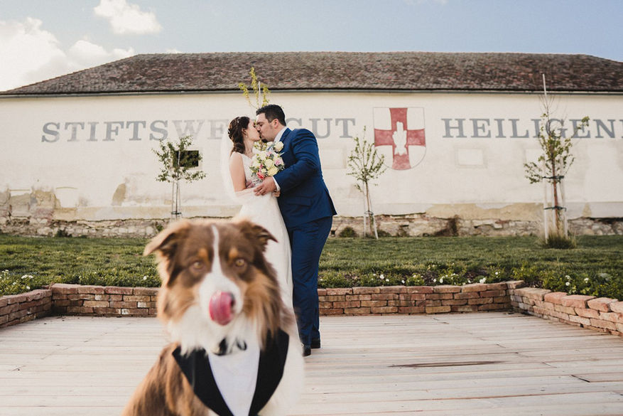 Photopam Hochzeit Fotograf