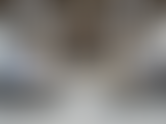 New York Welcomes Miu Miu’s Tales & Tellers