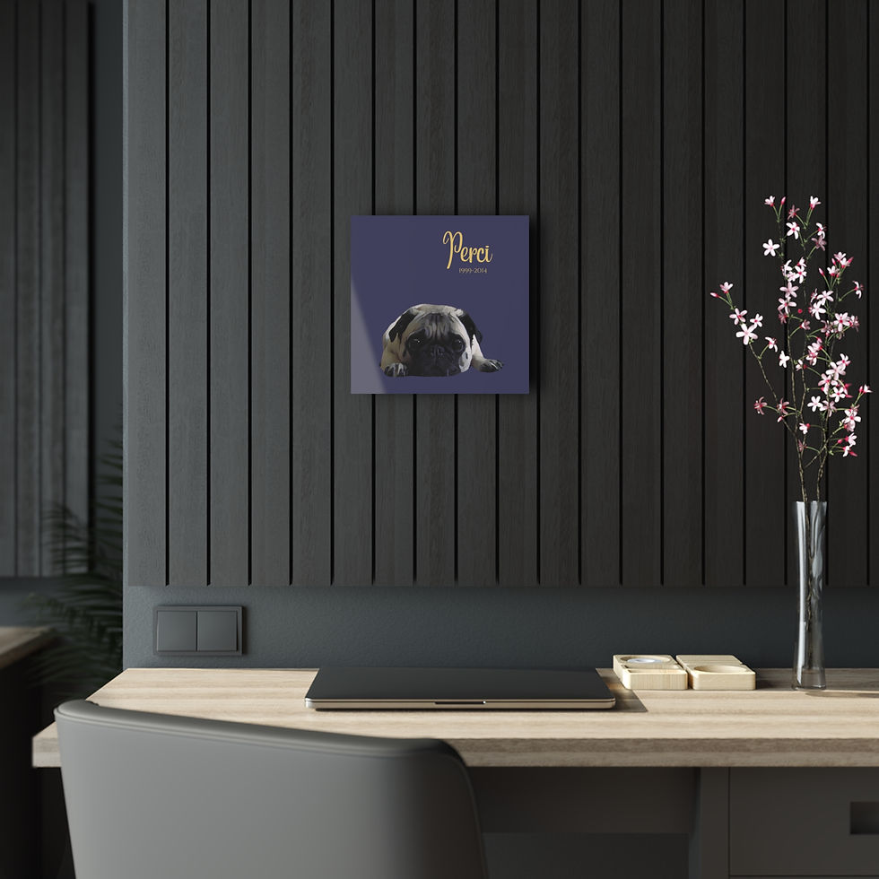 Thumbnail: In Memoriam Cartoon-Style Pet Portrait Acrylic Wall Art (Various Sizes)
