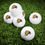 Thumbnail: JT Collection | Falcon Golf Balls (6 pack)