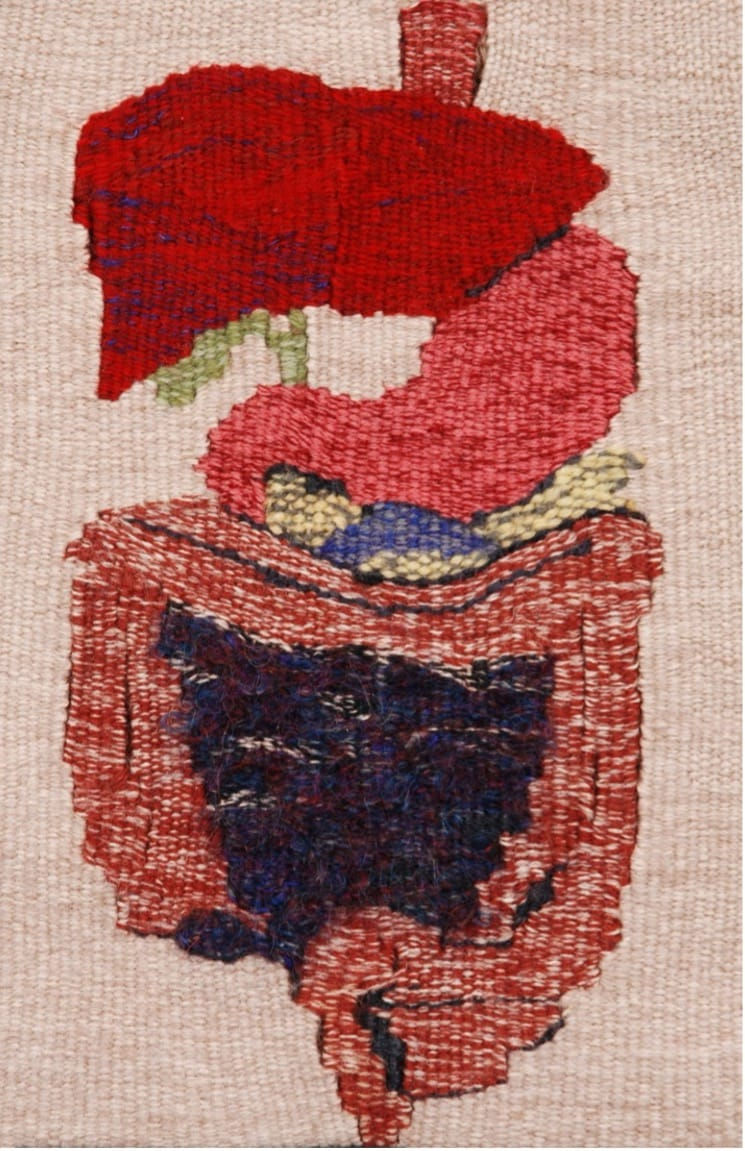 Woven tapestry of human gastrointestinal tract