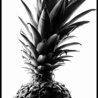 Black and white photograph Pineapple Crown mounted print by LG Photography gift for dietitians