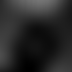 Lily's Love Affair: An Artistic Ode to the Wonders.