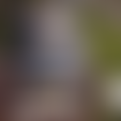 2025: O Ano do Colapso da Liga Pro Skate?