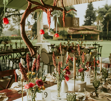 Captura de pantalla 2025-07-13 a la(s) 7.33.48 p.m..png