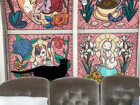 A Cat Café in Turku, the Old Capital of Finland