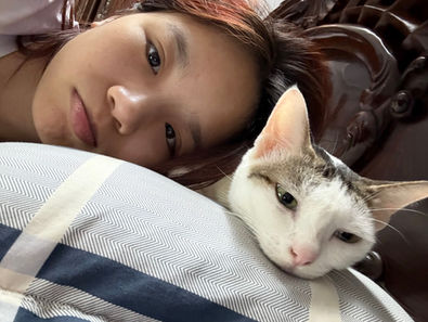 CAT FACTS: CAT - ULTRASONIC DETECTORS 
