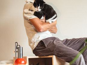 From Hobby Project to Design Mission: The Story Behind MUMU'S Modular Cat Furniture