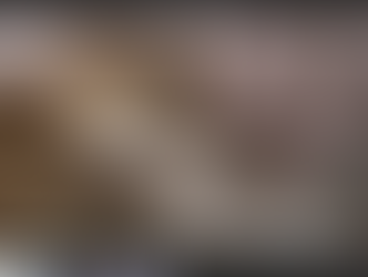 Miel: A Blessing from the “Cat Distribution System”