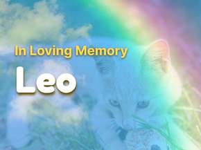 Rest in Peace Leo