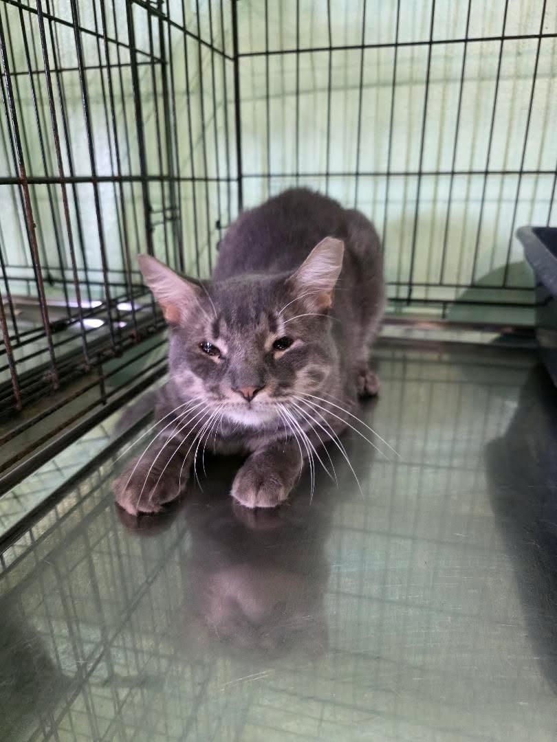 Winky's Second Chance