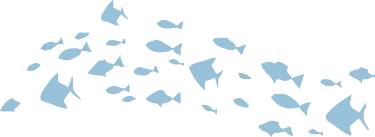 Fish-Silhouette-1.webp