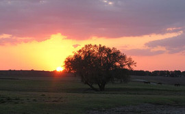 untitled image